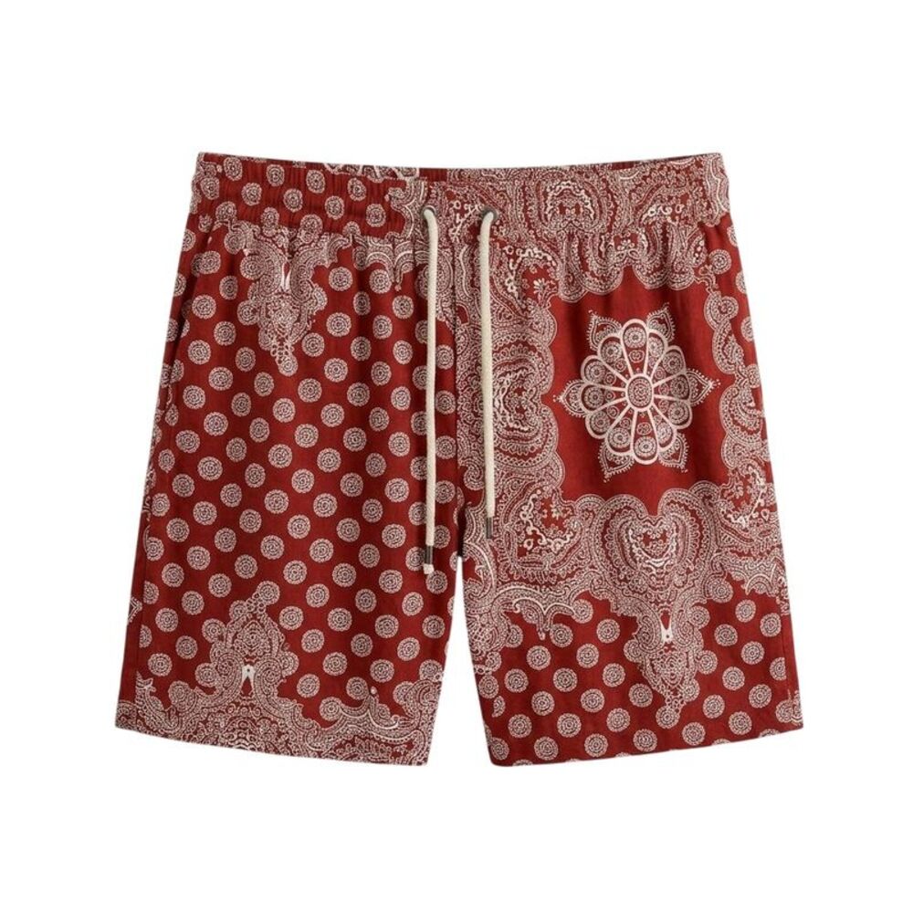 Another Influence Mens Paisley Shorts / Red